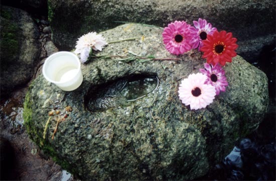 ����� ��������